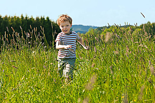 小男孩,跑,草地,美景,夏天,亮光,高兴,场景