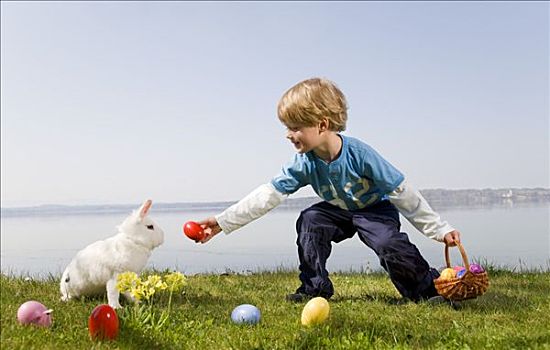 男孩,兔子,发现,复活节彩蛋