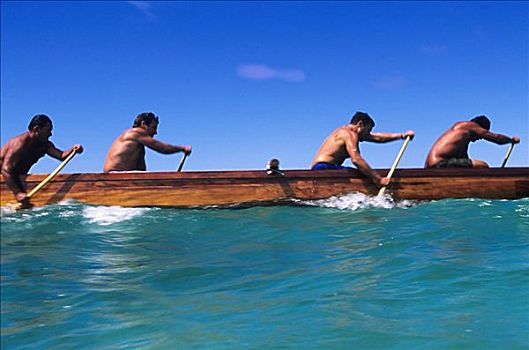 夏威夷,瓦胡岛,湾,划船,团队,独木舟,赛舟会,男人,无肖像权
