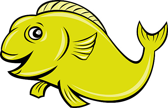 鱼正面插画图片