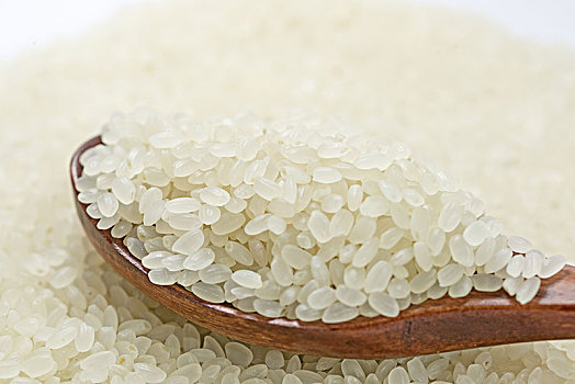 大米,东北大米珍珠米
