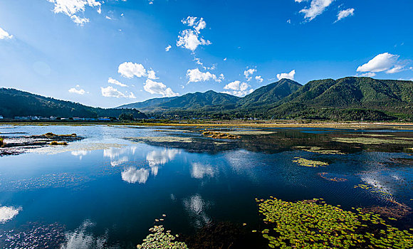 云南省腾冲北海湿地