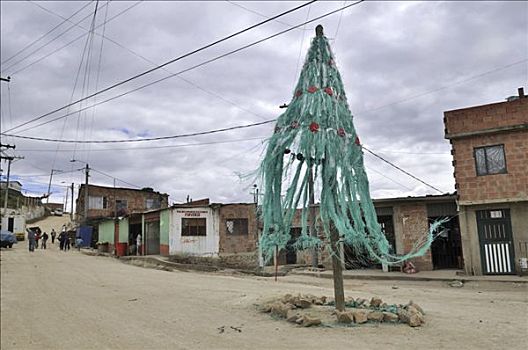 巨大,老化,圣诞树,城镇广场,贫民窟,哥伦比亚