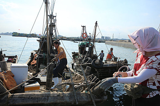 山东省日照市,跟拍船老大陈祥树出海捕鱼,肥美海鲜的背后是渔民的辛劳
