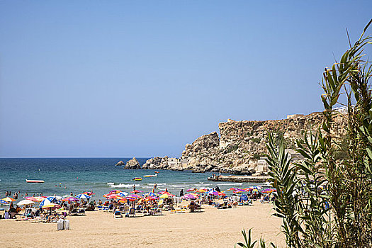 游客,海滩,金色,湾,马耳他
