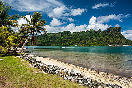 白沙滩,棕榈树,密克罗尼西亚,中心,太平洋