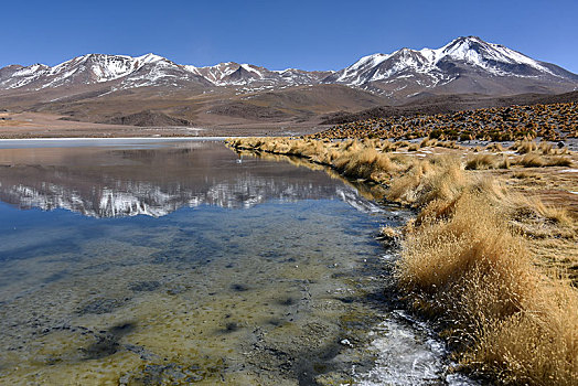 泻湖,安第斯山,高原,波托西地区,乌尤尼盐沼,玻利维亚,南美