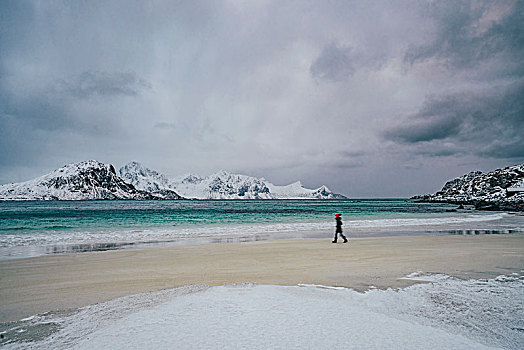 女人,走,寒冷,雪,海滩,罗浮敦群岛,挪威