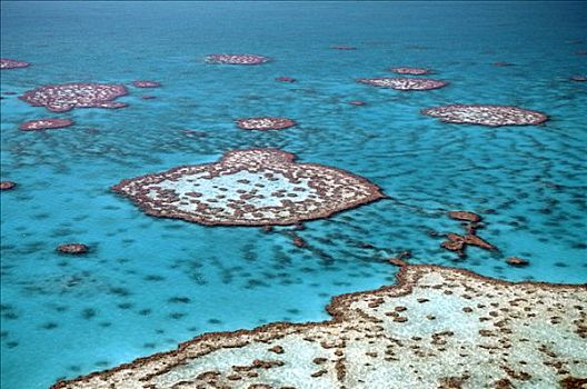 礁石,环礁,大堡礁,澳大利亚