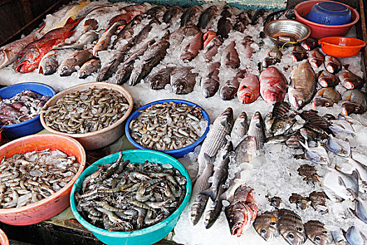 鱼肉,老虎虾,宽沟对虾,鱼市,高知,堡垒,喀拉拉,印度南部,南亚