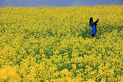 梯田,山村,春意