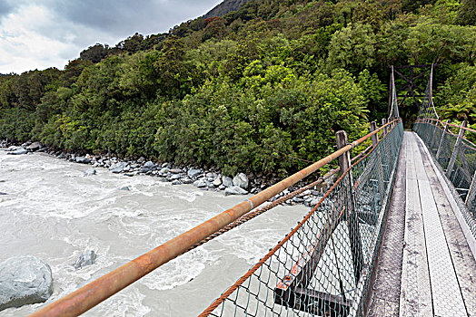狭窄,吊桥,上方,狐狸,河,西海岸,区域,新西兰,大洋洲