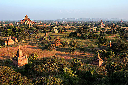 风景,塔,庙宇,地点,夜光,蒲甘,曼德勒省,缅甸,亚洲