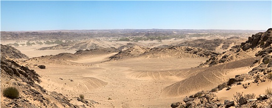 骷髅海岸,沙漠
