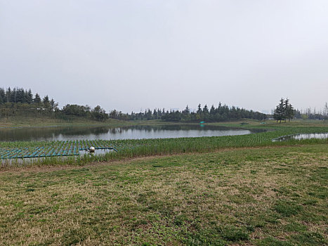 西安鹤鸣湖公园