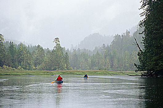 独木舟浆手,旅行,向上,河,心形,英国人,大熊雨林,不列颠哥伦比亚省,加拿大
