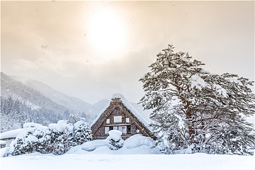 太阳,雪