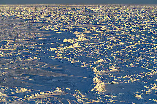 南极,威德尔海,隆起,海冰