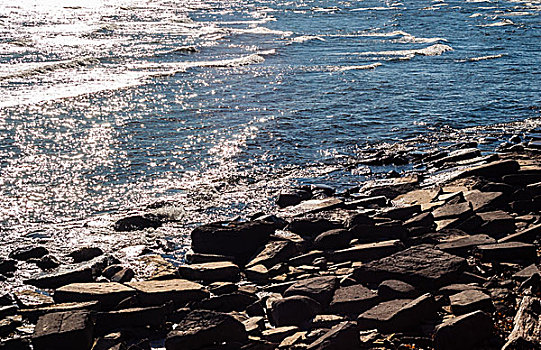 褐色,岩石,岸边,水,反射,阳光