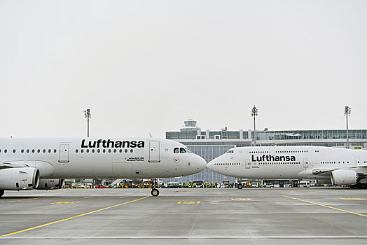 汉莎航空公司,新,波音,空中客车,慕尼黑,机场,上巴伐利亚,德国,欧洲