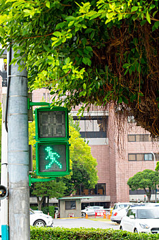台湾台北独特的行人号志灯小绿人红绿灯