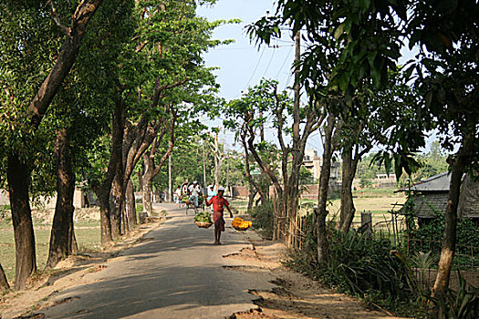 出售,蔬菜,早晨,集市,市场,孟加拉,2008年