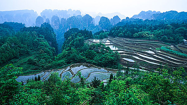 张家界空中梯田