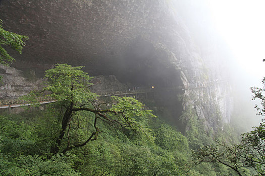 重庆南川,雨中金佛山云端栈道,与云雾起舞如仙如境