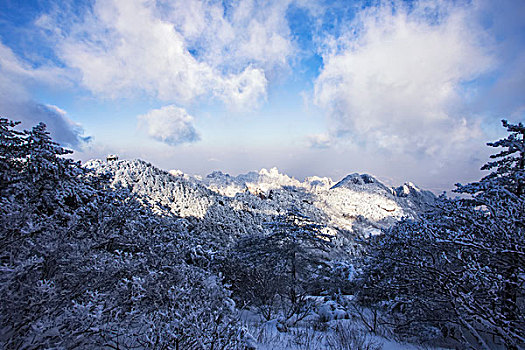 黄山雪景