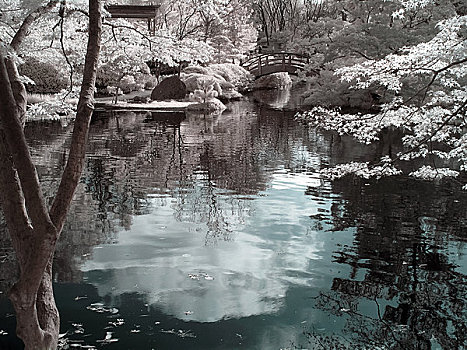 河流,日式庭园,美国