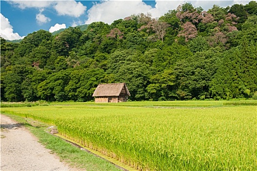 扇町,乡村