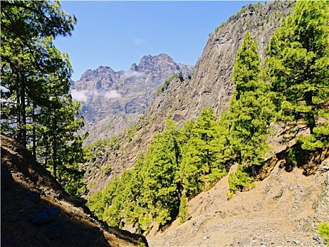 火山口,国家公园,帕尔玛