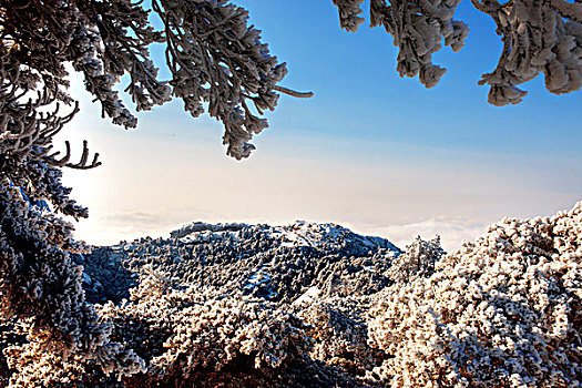 黄山,雪景,光明顶