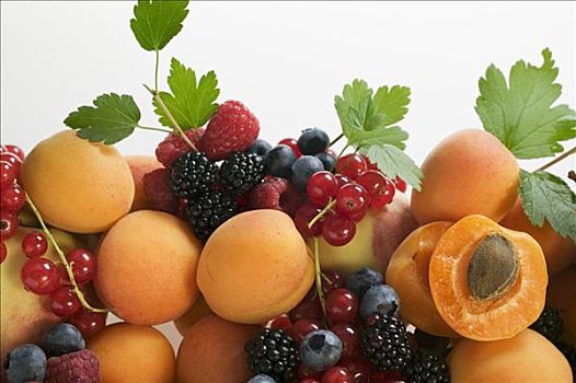 水果,静物,有核水果,浆果,叶子