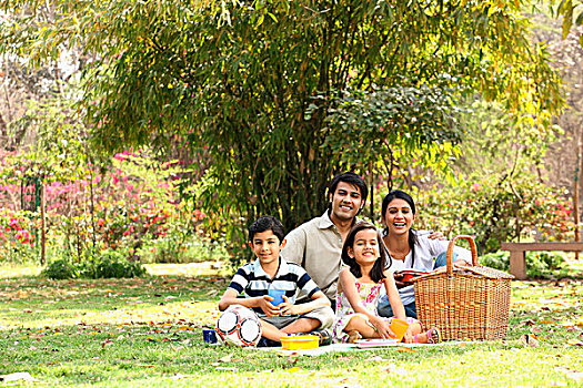 家庭,公园,野餐