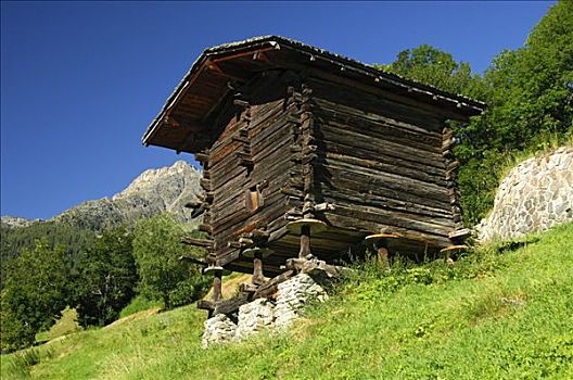 传统,存储设备,阿尔卑斯山,瓦莱,瑞士