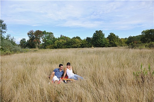 幸福伴侣,享受,乡村,野餐,高草