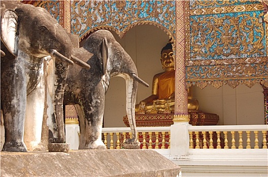 粉饰灰泥,雕塑,大象,佛像,清迈,泰国
