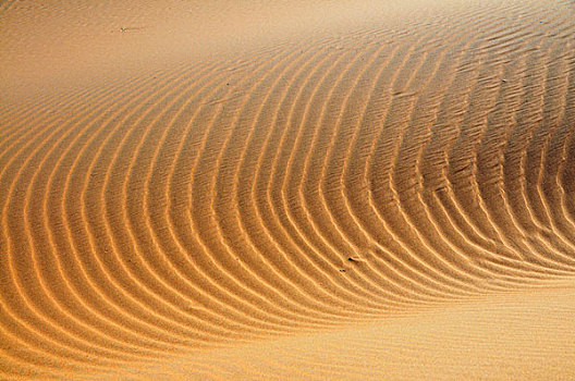 建筑,沙子,荒芜,却比沙丘,摩洛哥,非洲