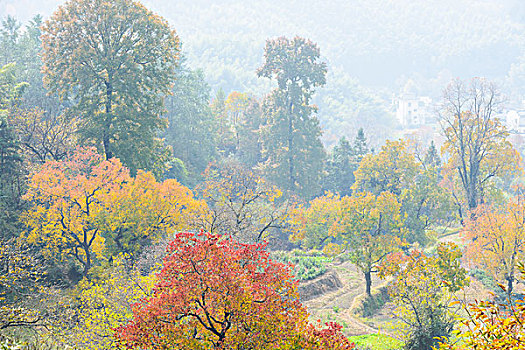 塔川秋景