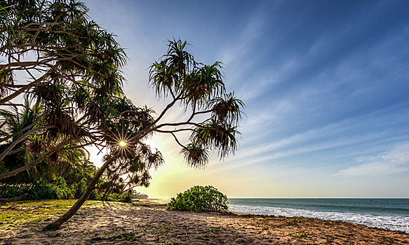 日出,海滩,斯里兰卡,亚洲
