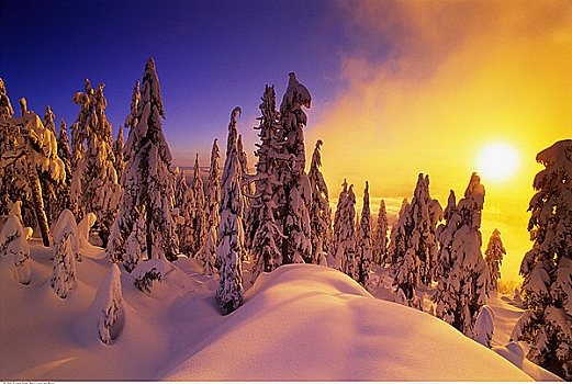 风景,日落,海岸山脉,不列颠哥伦比亚省,加拿大