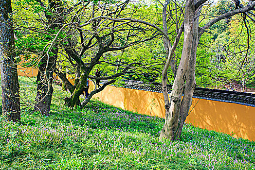 慈溪,五磊山,禅寺,寺院,生态,山水