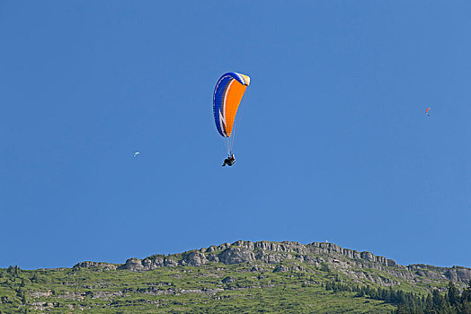 滑翔伞,靠近,巴伐利亚,德国,欧洲