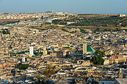 远眺,历史,城镇,中心,麦地那,摩洛哥,非洲