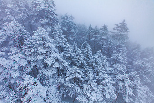 西岭雪山大雪的美丽风景