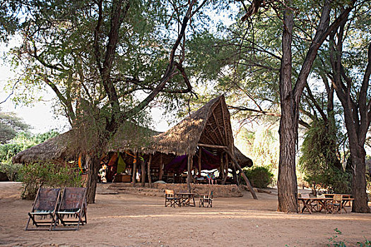 大象,看,露营,萨布鲁国家公园,肯尼亚,非洲