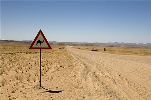 骆驼,穿过,标识,道路,纳米比亚