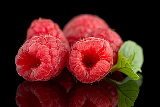 树莓,叶子