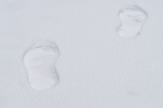 一对,脚印,初雪,冬天,背景